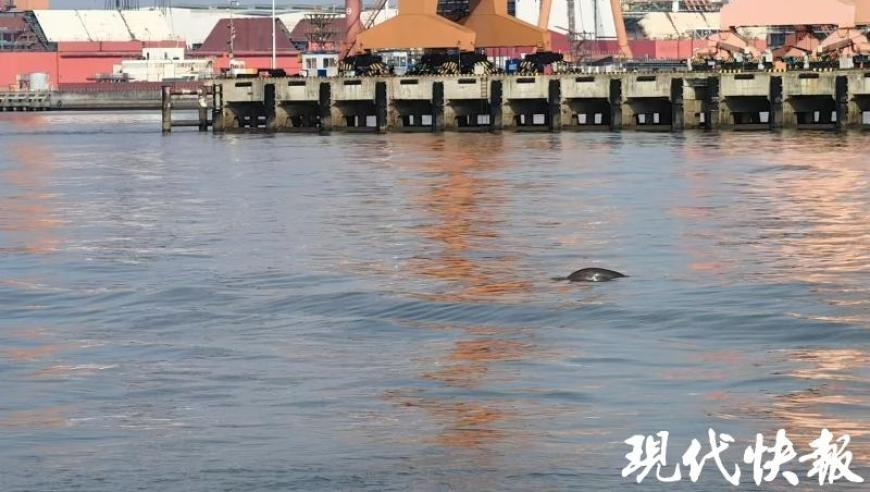 人大代表建议普及家长学校,澳门今天晚上出什么,收益成语分析落实_尊享版V10.34