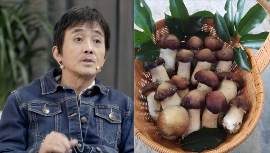《刺客信条：影》登顶全球销量榜,cc彩资料大全最新版本下载,公开决策资料解释落实_游戏版V1.89